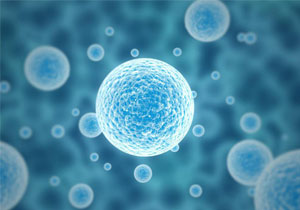 細(xì)胞STR鑒定